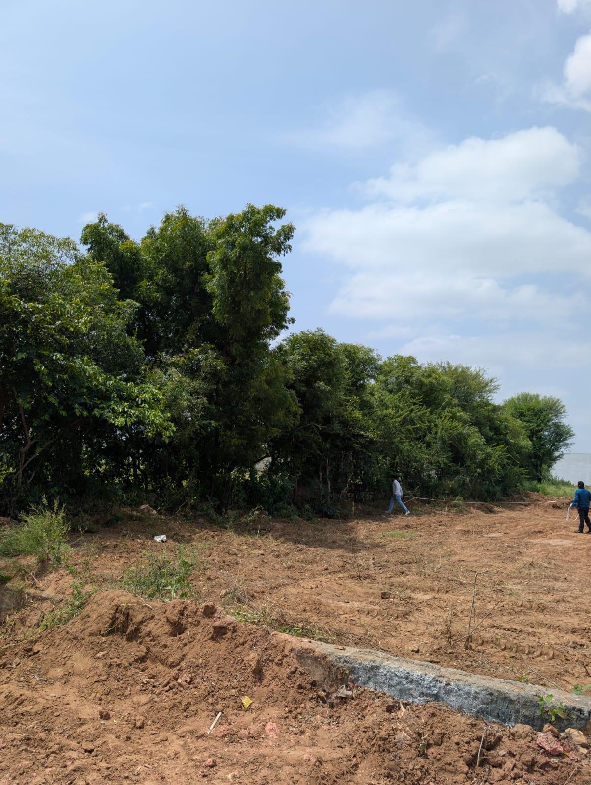 166.67 Sq-yrd Residential Land/ Plot for Sale in Narayan Vihar, Jaipur